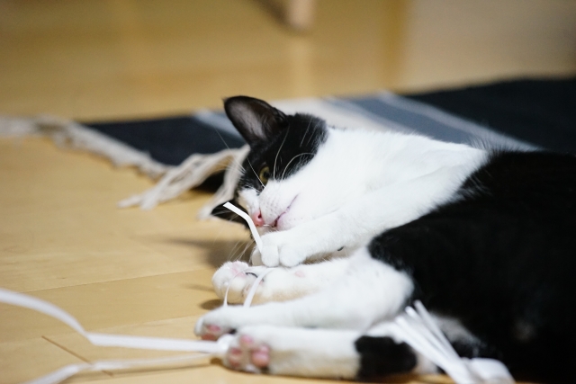 ずっとほどけないと思っていた紐が