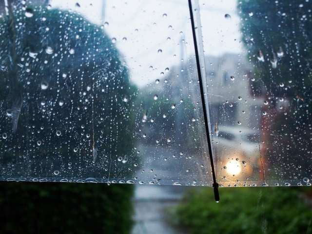 恵みの雨は降る