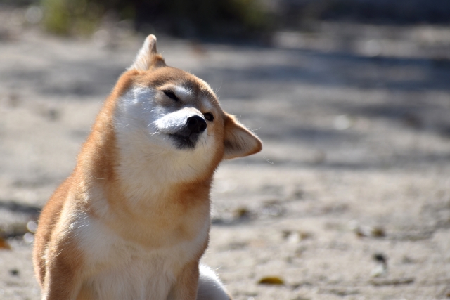 疑問