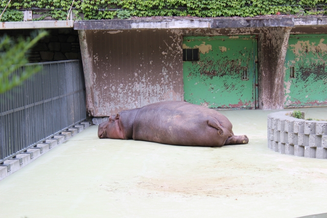 ストレスに弱いのは悪いこと?