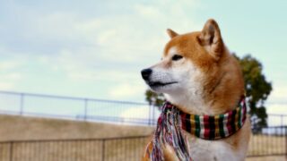結果を急がない
