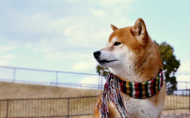 結果を急がない