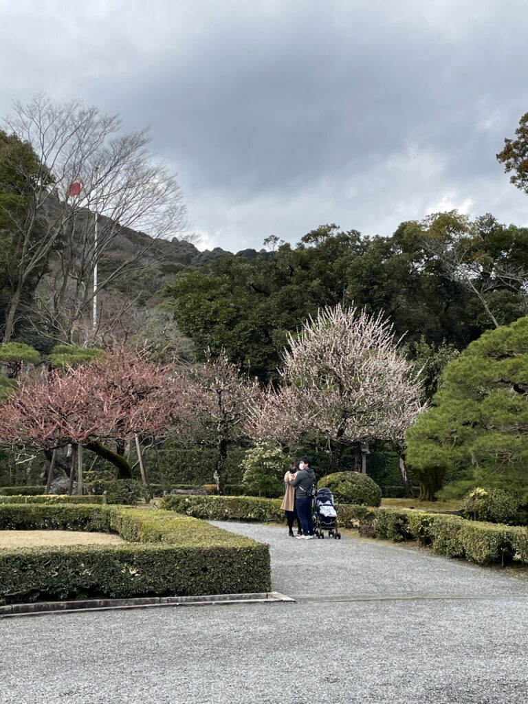 春を好きな理由