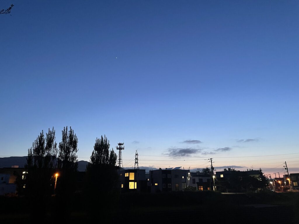 心を癒したいときに何をしていますか？