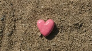 気付く。認める。許す。