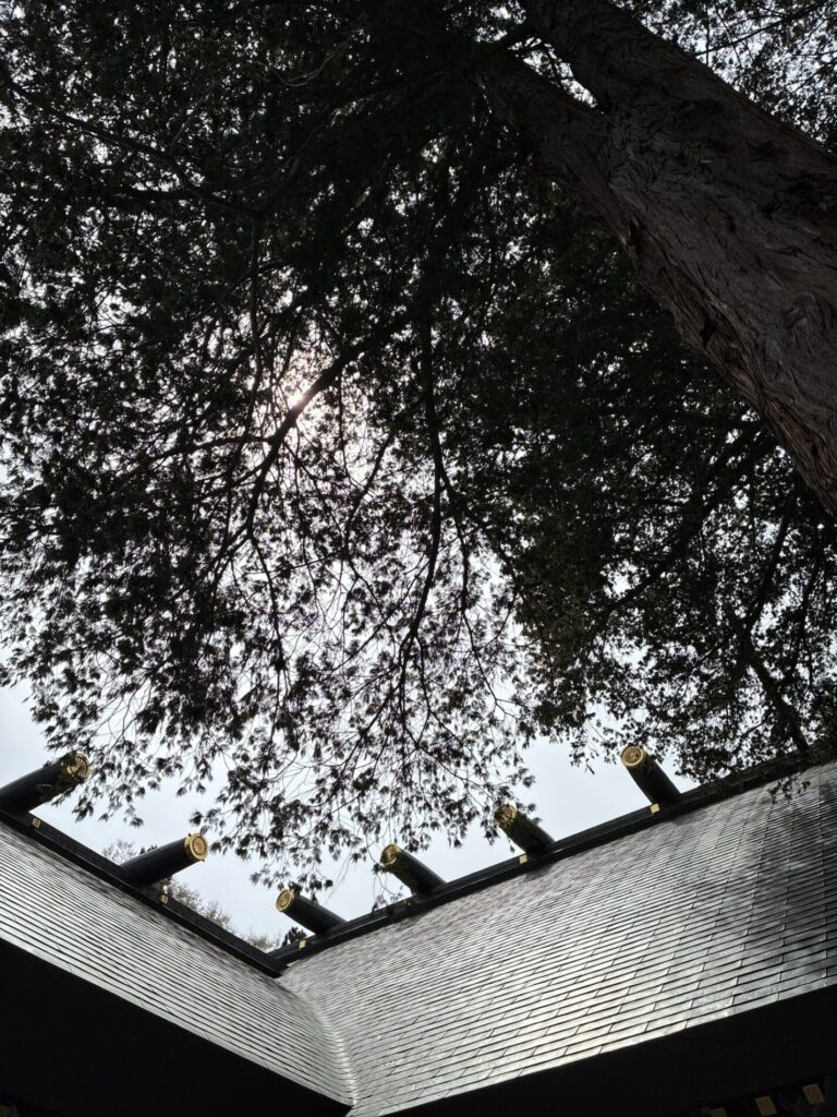 怖い記憶