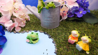 雨を楽しむ