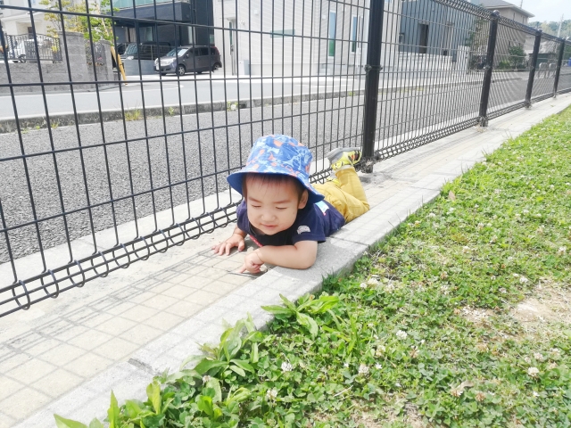 予想外の行動