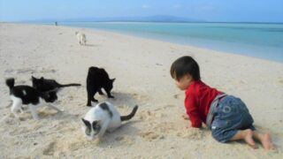 耳を傾けること
